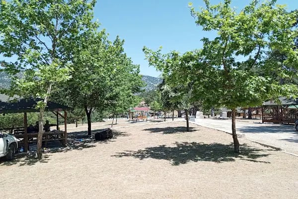 Çam Beli Mesire Alanı - Resim 5