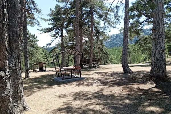 Çam Beli Mesire Alanı - Resim 15
