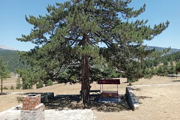 Çam Beli Mesire Alanı - Resim 18
