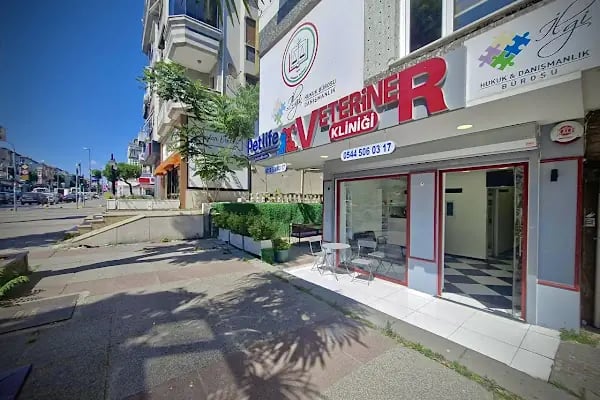 PETLIFE BAHÇELİEVLER VETERINER KLİNİĞİ - Resim 9