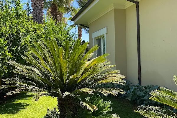 Palm City Antalya - Resim 18