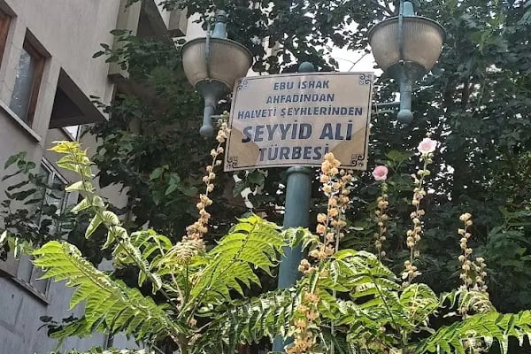Seyyit Ali Türbesi - Resim 16