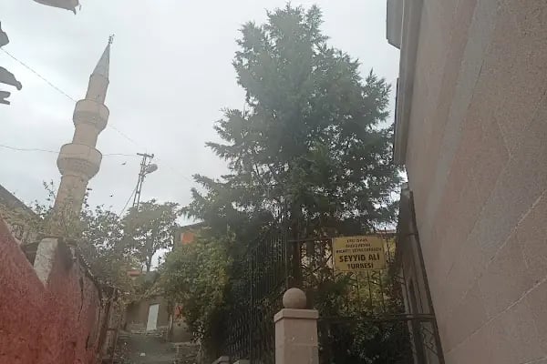 Seyyit Ali Türbesi - Resim 19