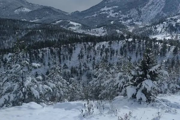 Toraman kamp çadır alanı - Resim 3