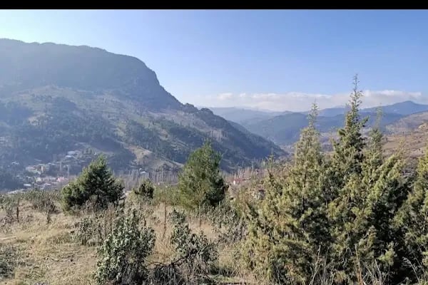 Toraman kamp çadır alanı - Resim 2
