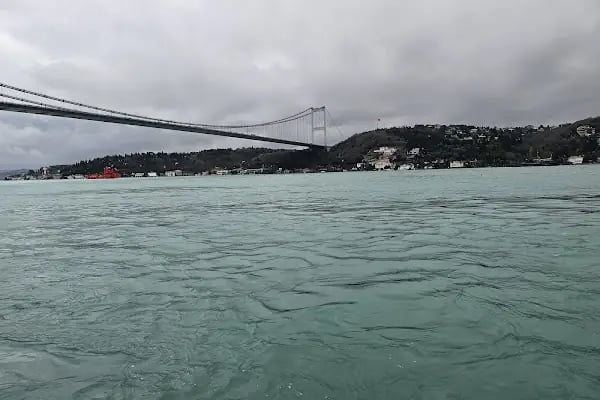 Boğaziçi Üniversitesi Kuzey Kampüsü - Resim 5