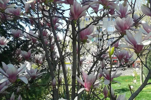 Bezirganbahçe Parkı - Resim 16