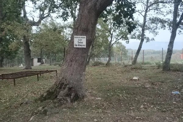 dedelik mesire alanı - Resim 3
