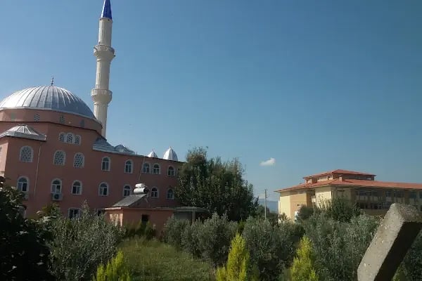 Sögütluyurt Mahallesi Cami - Resim 3
