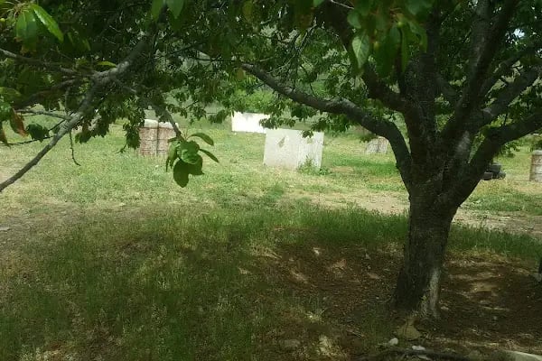 Eymir Star Paintball - Resim 6