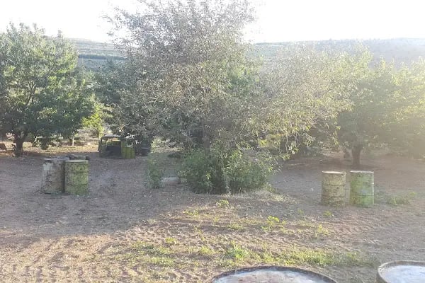 Eymir Star Paintball - Resim 18