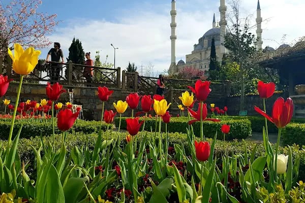 Mimar Sinan Camii - Resim 17
