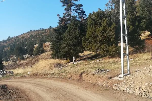 Yalıhüyük Belediyesi Düğün Salonu - Resim 15
