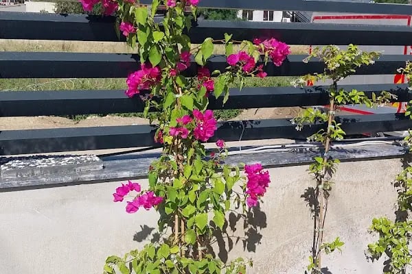 Yalıhüyük Belediyesi Düğün Salonu - Resim 1