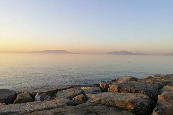 İBB Orhangazi Şehir Parkı - Resim 11