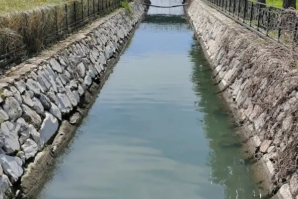 İBB Orhangazi Şehir Parkı - Resim 3