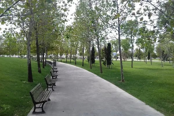 İBB Orhangazi Şehir Parkı - Resim 1
