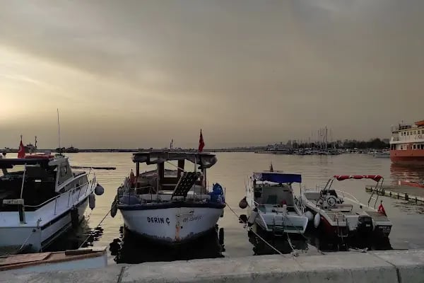 İBB Orhangazi Şehir Parkı - Resim 12
