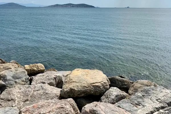 İBB Orhangazi Şehir Parkı - Resim 19