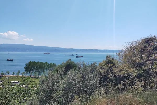 Yılport Liman İşletmeleri - Resim 4
