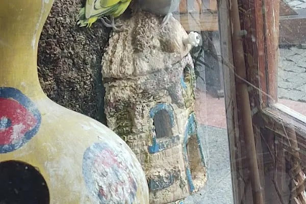 BOTANICA PET &amp; GARDEN - Resim 3