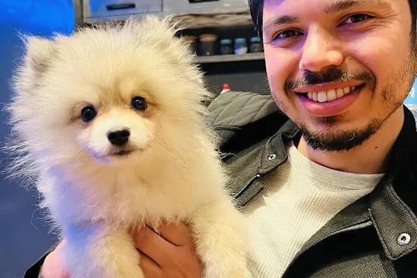 Pozitif Petshop - Resim 3