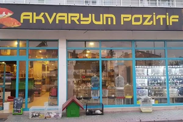 Pozitif Petshop - Resim 7