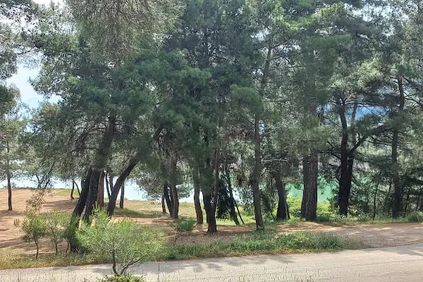 ATAKÖY GÖLETİ - Resim 15