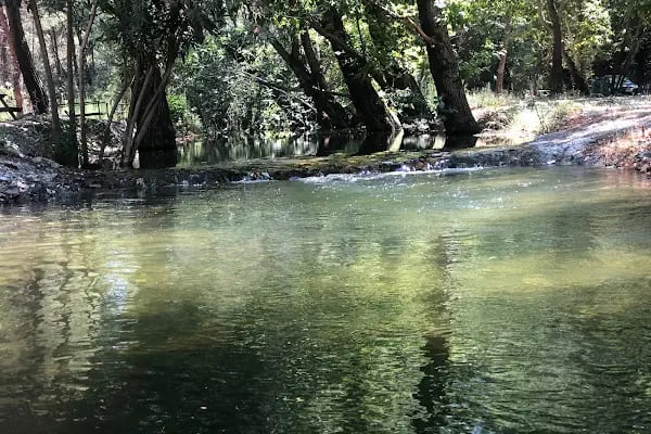 EGE DOĞA PARK - Resim 4