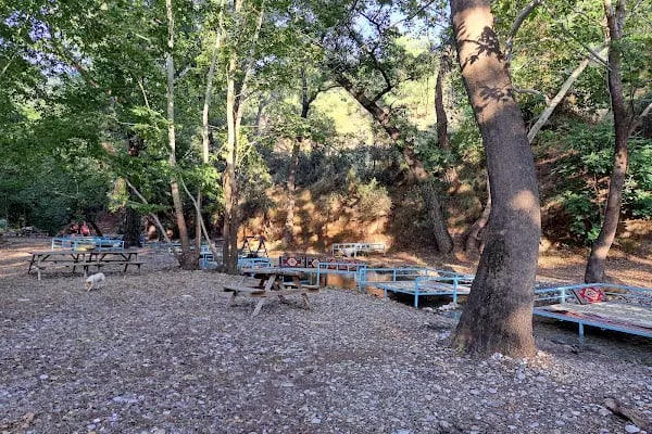 EGE DOĞA PARK - Resim 6