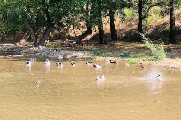 EGE DOĞA PARK - Resim 19