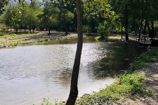 EGE DOĞA PARK - Resim 10
