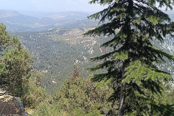 PANORAMİS SEYİR TERAS - Resim 7