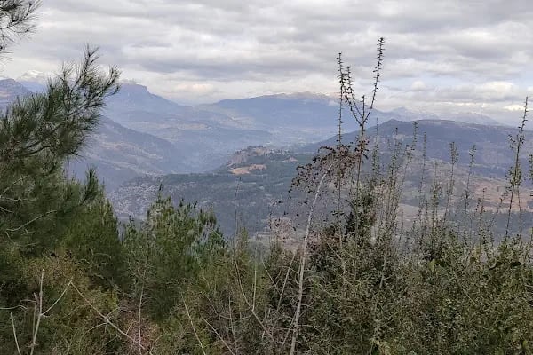 PANORAMİS SEYİR TERAS - Resim 19