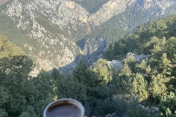 PANORAMİS SEYİR TERAS - Resim 3