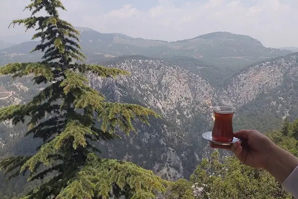 PANORAMİS SEYİR TERAS - Resim 5