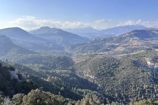 PANORAMİS SEYİR TERAS - Resim 2