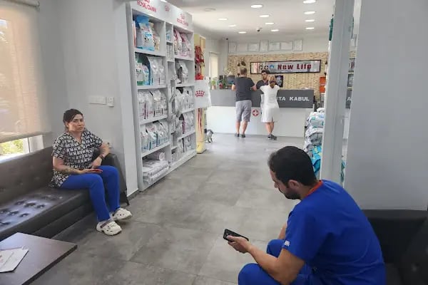 Bodrum Veteriner - New Life Veteriner Kliniği - Resim 4