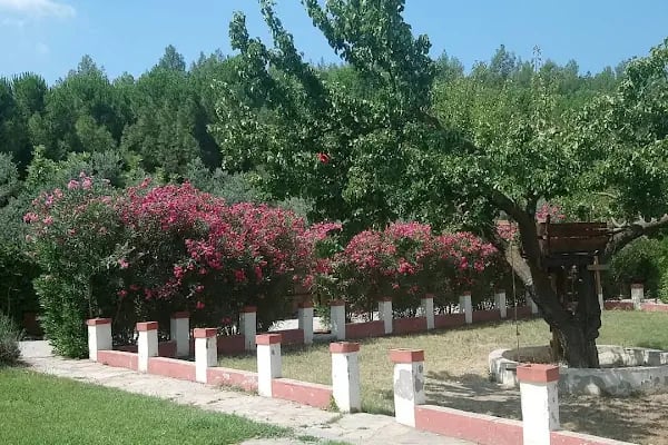 Arvalya Özel Kamp Alanı - Resim 16