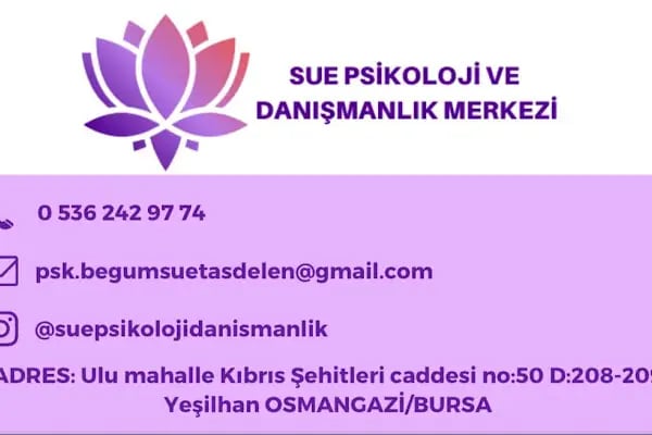 Bursa Osmangazi Psikolog Begümsue Taşdelen - Resim 4