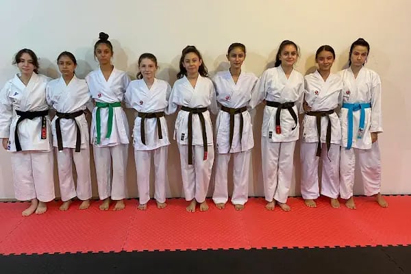Köklü Ata Spor Kulübü - Resim 3