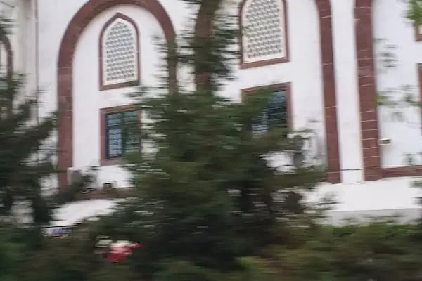 Akçakale Merkez Cami - Resim 18