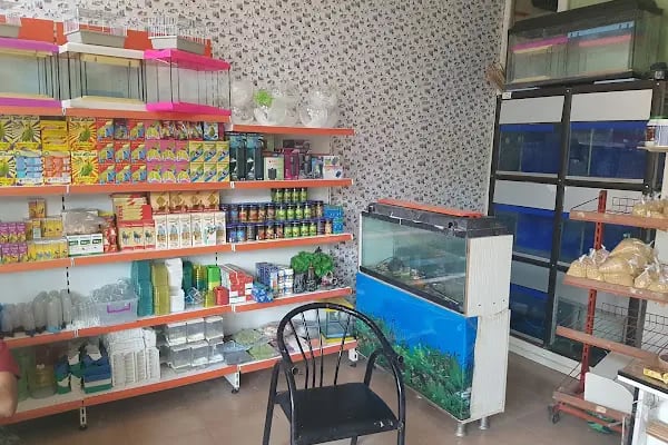 Yüce Petshop - Resim 16