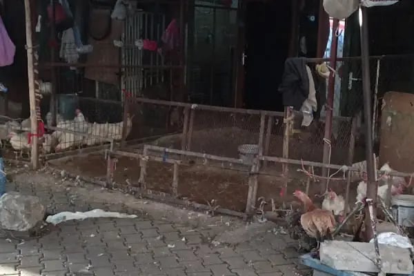 Sur Düğün Salonu - Resim 5