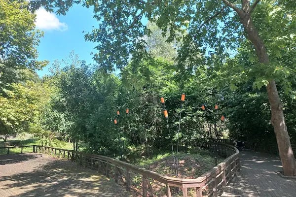 Gölkay Park - Resim 7