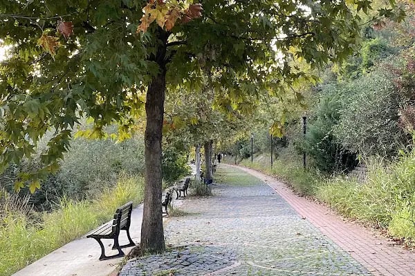 Gölkay Park - Resim 12