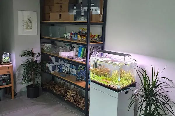 Bursa Cihan Akvaryum &amp; Petshop - Resim 20