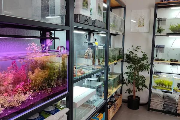 Bursa Cihan Akvaryum &amp; Petshop - Resim 19