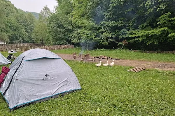 Ormanika Piknik ve KampTesisi - Resim 18