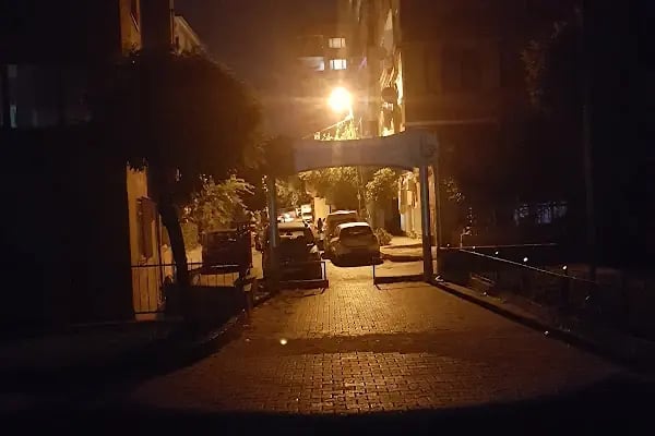 Bağcılar Belediyesi Mimar Sinan Parkı - Resim 5